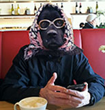 Benutzeravatar