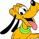 Benutzeravatar