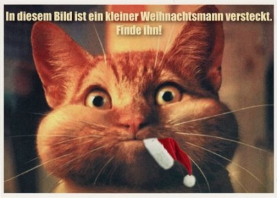 weihnachts katze.jpg